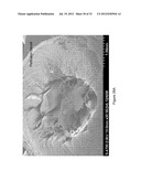 DECELLULARIZATION AND RECELLULARIZATION OF ORGANS AND TISSUES diagram and image