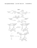 LUMINESCENT DYES WITH A WATER-SOLUBLE INTRAMOLECULAR BRIDGE AND THEIR     BIOLOGICAL CONJUGATES diagram and image