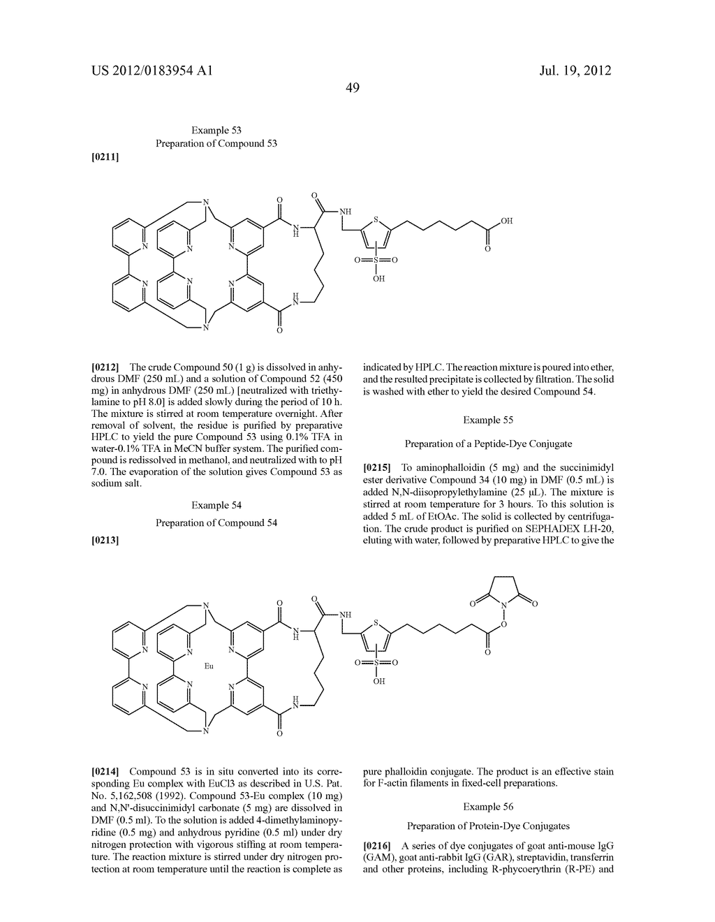 LUMINESCENT DYES WITH A WATER-SOLUBLE INTRAMOLECULAR BRIDGE AND THEIR     BIOLOGICAL CONJUGATES - diagram, schematic, and image 60