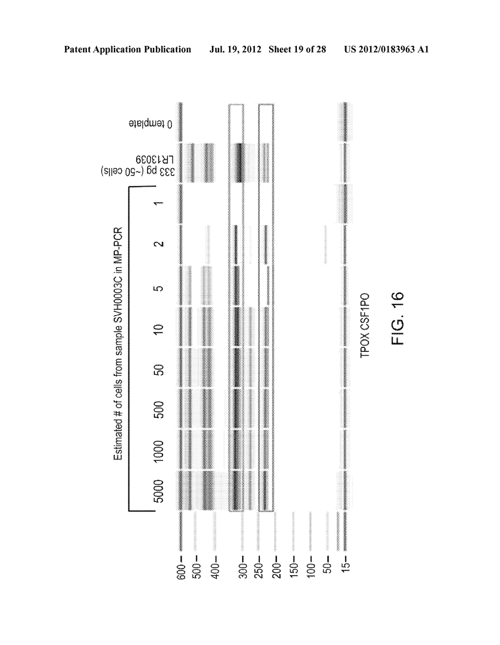 DETERMINATION OF FETAL ANEUPLOIDY BY QUANTIFICATION OF GENOMIC DNA FROM     MIXED SAMPLES - diagram, schematic, and image 20