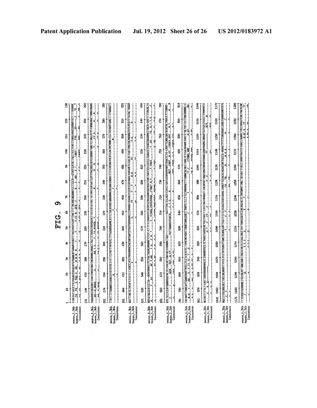 DNA CAPABLE OF INDUCING OSTEOBLAST-SPECIFIC EXPRESSION, AND NUCLEOTIDE     SEQUENCE FOR SAME - diagram, schematic, and image 27