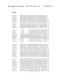 Taste Receptors Of The T1R Family From Domestic Dog diagram and image