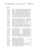 Taste Receptors Of The T1R Family From Domestic Dog diagram and image