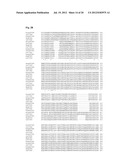 Taste Receptors Of The T1R Family From Domestic Dog diagram and image