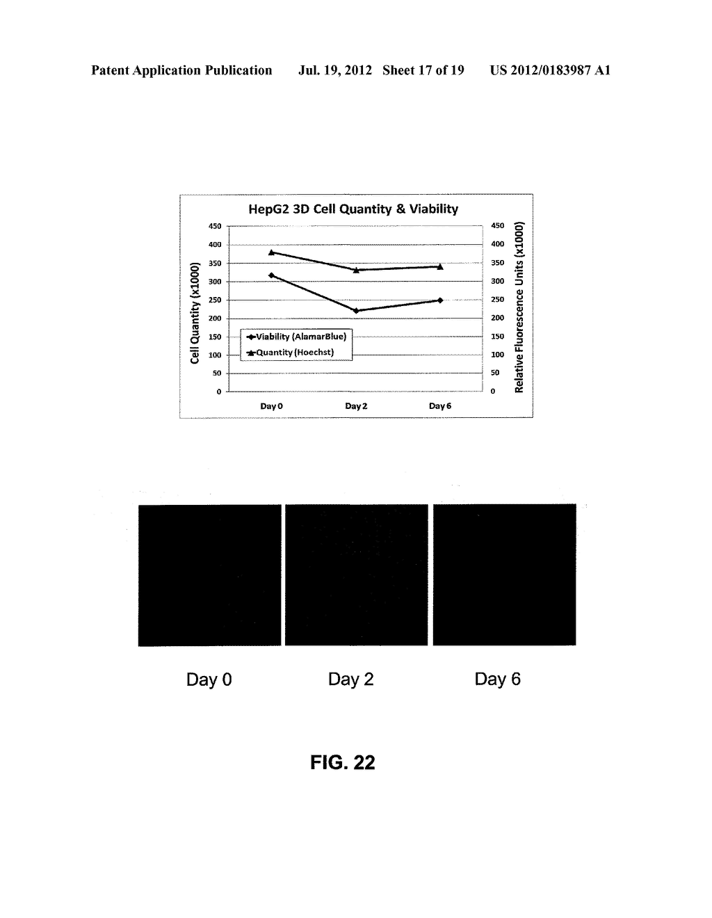 CO-CULTURE BIOREACTOR SYSTEM - diagram, schematic, and image 18