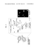 INTEIN-BASED FLUORESCENT BIO-CIRCUIT FOR VITAMIN D DETECTION diagram and image