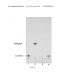 Reductase Enzymes diagram and image