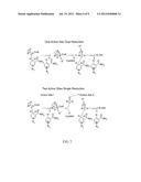 Reductase Enzymes diagram and image