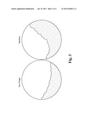 Methods for Generation of Reporter Phages and Immobilization of Active     Bacteriophages on a Polymer Surface diagram and image