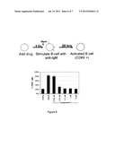 Inhibitors of BMX non-receptor tyrosine kinase diagram and image