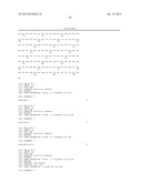 NOVEL PROTEIN AND GENE THAT CODES THEREFOR diagram and image