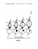 MULTIPLEX SCREENING FOR LYSOSOMAL STORAGE DISORDERS (LSDS) diagram and image