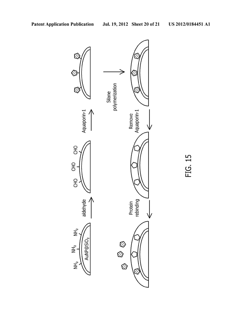 LABEL-FREE DETECTION OF RENAL CANCER - diagram, schematic, and image 21