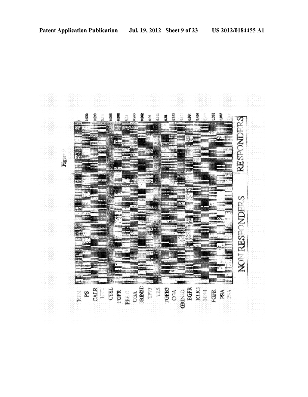 Method and Nucleic Acids for the Improved Treatment of Breast Cell     Proliferative Disorders - diagram, schematic, and image 10