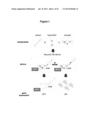 HIGHLY EFFICIENT GENE-REGULATORY ELEMENT SCREENING ASSAY AND COMPOSITIONS     FOR PERFORMING THE SAME diagram and image