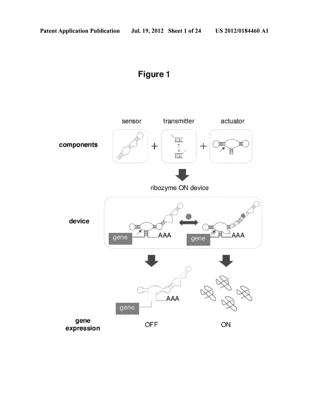 HIGHLY EFFICIENT GENE-REGULATORY ELEMENT SCREENING ASSAY AND COMPOSITIONS     FOR PERFORMING THE SAME - diagram, schematic, and image 02