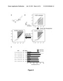 HIGHLY EFFICIENT GENE-REGULATORY ELEMENT SCREENING ASSAY AND COMPOSITIONS     FOR PERFORMING THE SAME diagram and image