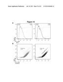 HIGHLY EFFICIENT GENE-REGULATORY ELEMENT SCREENING ASSAY AND COMPOSITIONS     FOR PERFORMING THE SAME diagram and image