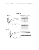 HIGHLY EFFICIENT GENE-REGULATORY ELEMENT SCREENING ASSAY AND COMPOSITIONS     FOR PERFORMING THE SAME diagram and image