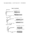 HIGHLY EFFICIENT GENE-REGULATORY ELEMENT SCREENING ASSAY AND COMPOSITIONS     FOR PERFORMING THE SAME diagram and image