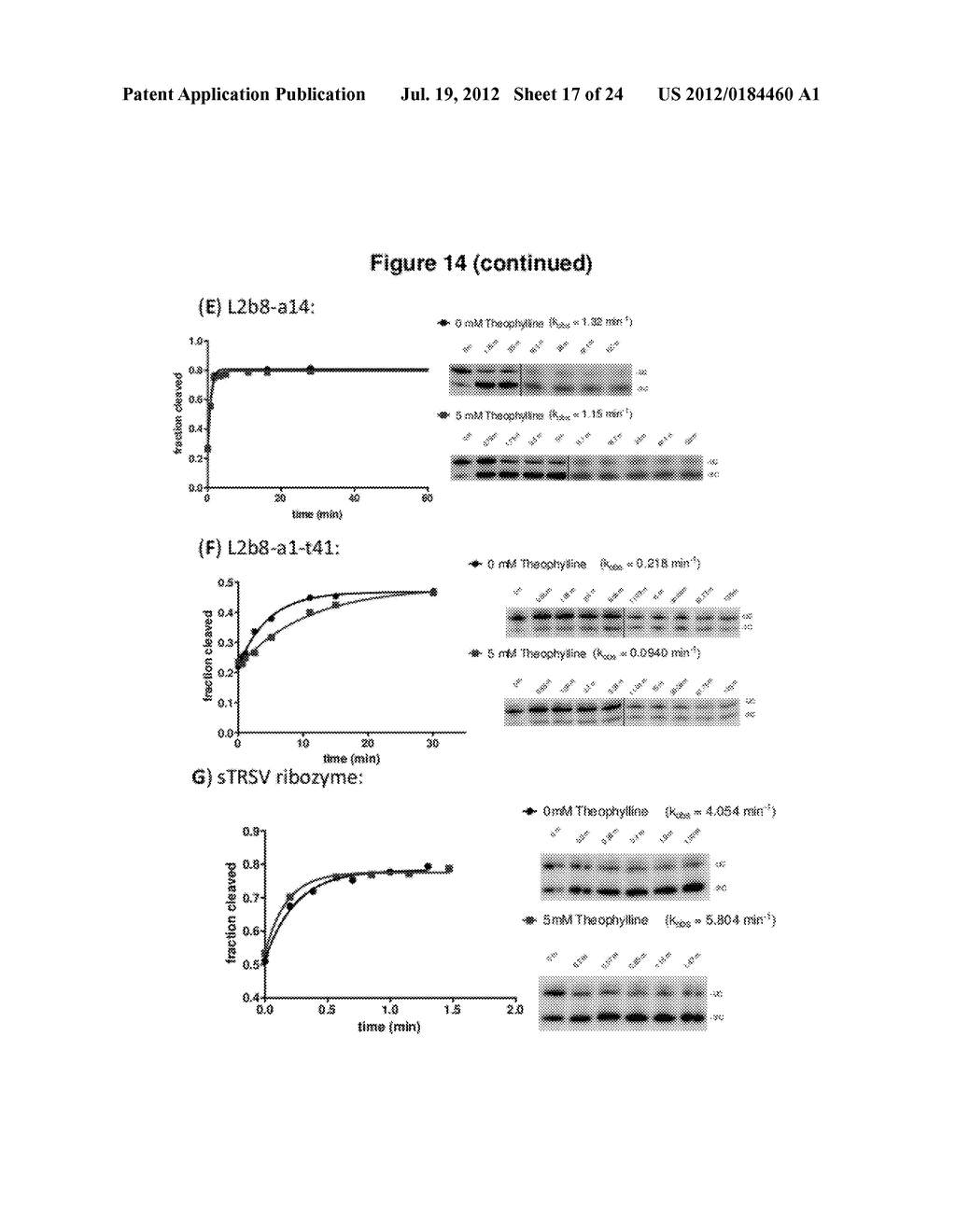 HIGHLY EFFICIENT GENE-REGULATORY ELEMENT SCREENING ASSAY AND COMPOSITIONS     FOR PERFORMING THE SAME - diagram, schematic, and image 18