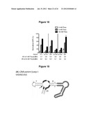 HIGHLY EFFICIENT GENE-REGULATORY ELEMENT SCREENING ASSAY AND COMPOSITIONS     FOR PERFORMING THE SAME diagram and image