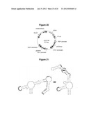 HIGHLY EFFICIENT GENE-REGULATORY ELEMENT SCREENING ASSAY AND COMPOSITIONS     FOR PERFORMING THE SAME diagram and image