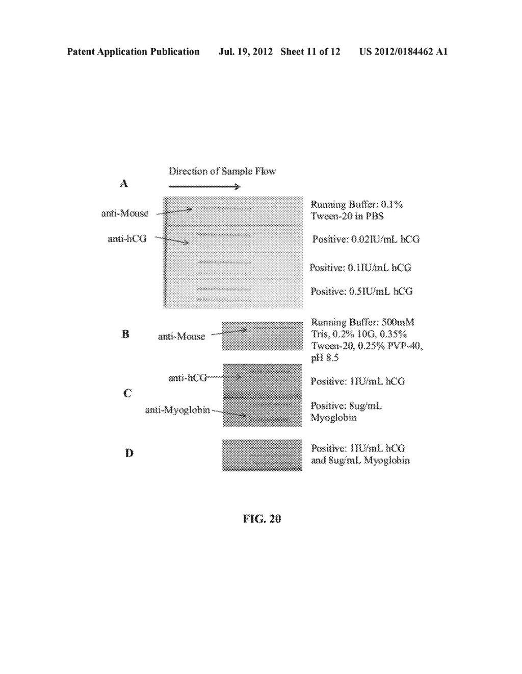 LATERAL FLOW ASSAYS USING TWO DIMENSIONAL FEATURES - diagram, schematic, and image 12