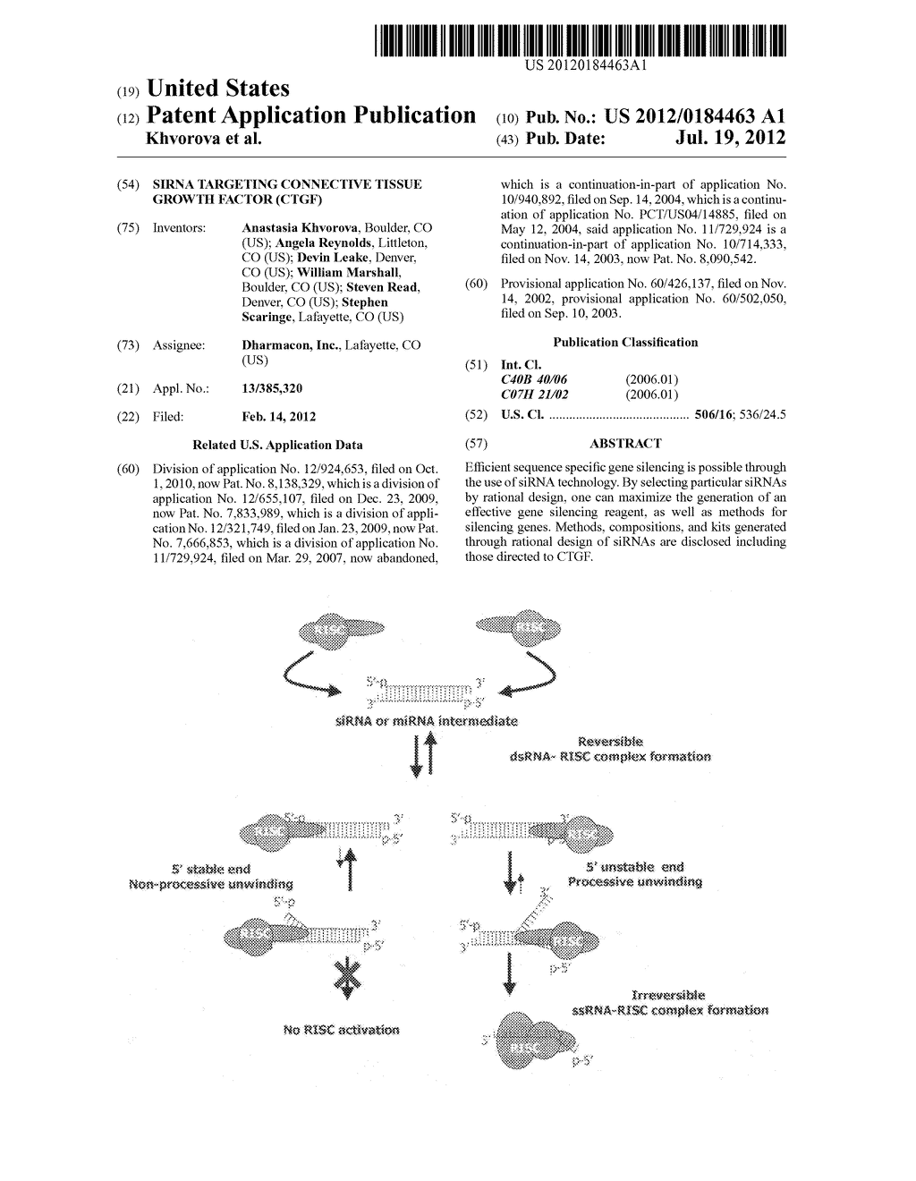 siRNA Targeting Connective Tissue Growth Factor (CTGF) - diagram, schematic, and image 01