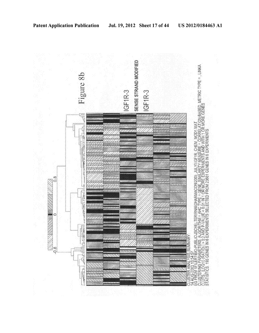 siRNA Targeting Connective Tissue Growth Factor (CTGF) - diagram, schematic, and image 18