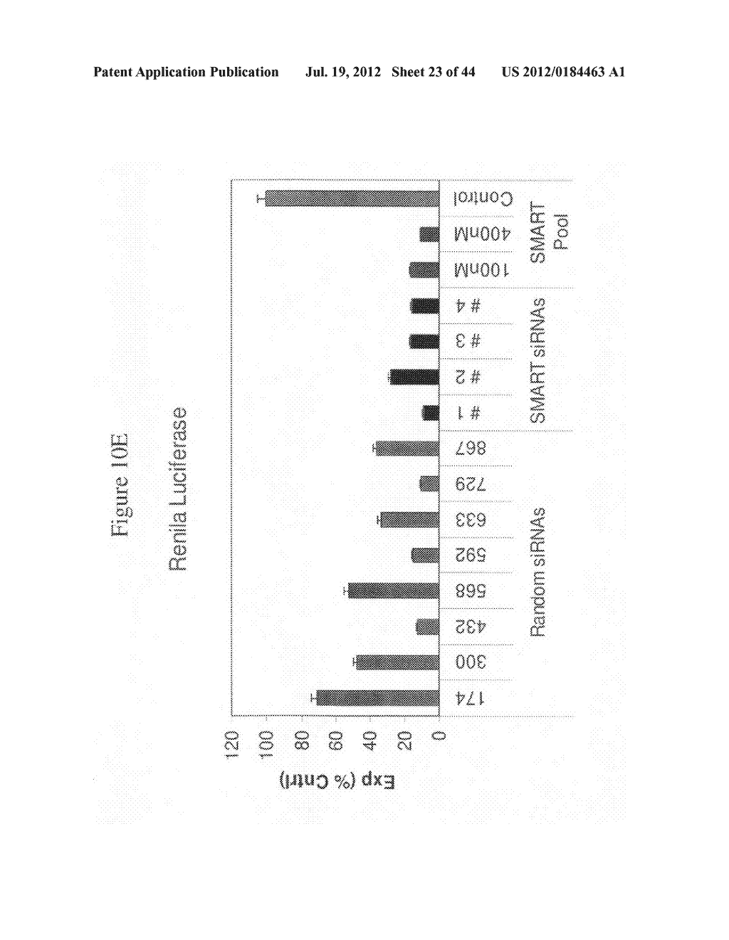 siRNA Targeting Connective Tissue Growth Factor (CTGF) - diagram, schematic, and image 24