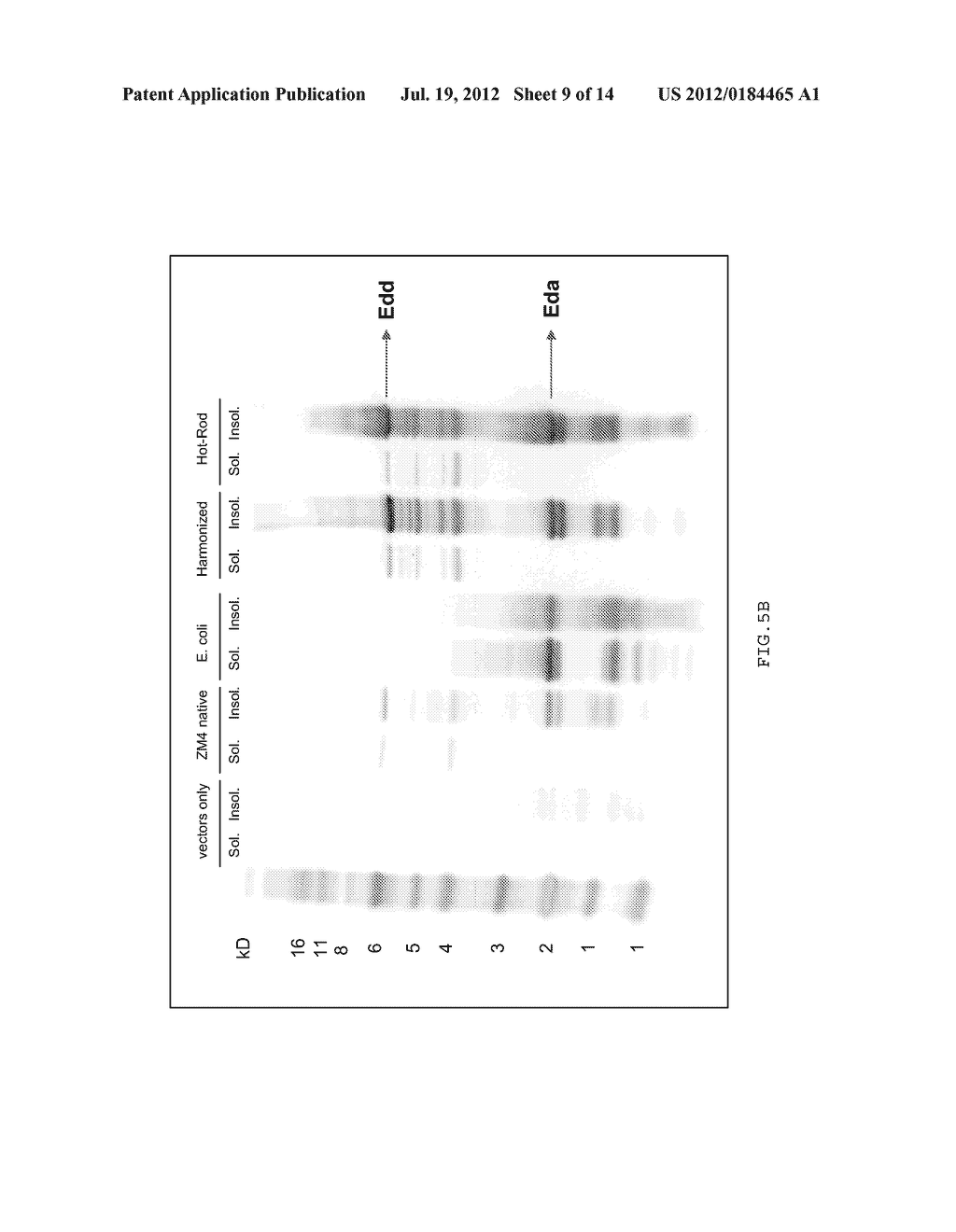 COMBINATORIAL METHODS FOR OPTIMIZING ENGINEERED MICROORGANISM FUNCTION - diagram, schematic, and image 10