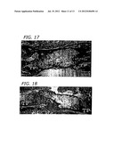 ENHANCEMENT OF BMP RETENTION diagram and image