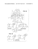 DALBAVANCIN COMPOSITIONS FOR TREATMENT OF BACTERIAL INFECTIONS diagram and image