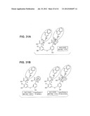 DALBAVANCIN COMPOSITIONS FOR TREATMENT OF BACTERIAL INFECTIONS diagram and image