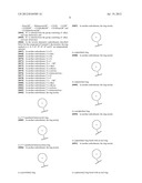 MODULATORS OF CELL CYCLE CHECKPOINTS AND THEIR USE IN COMBINATION WITH     CHECKPOINT KINASE INHIBITORS diagram and image