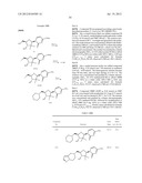 MODULATORS OF CELL CYCLE CHECKPOINTS AND THEIR USE IN COMBINATION WITH     CHECKPOINT KINASE INHIBITORS diagram and image