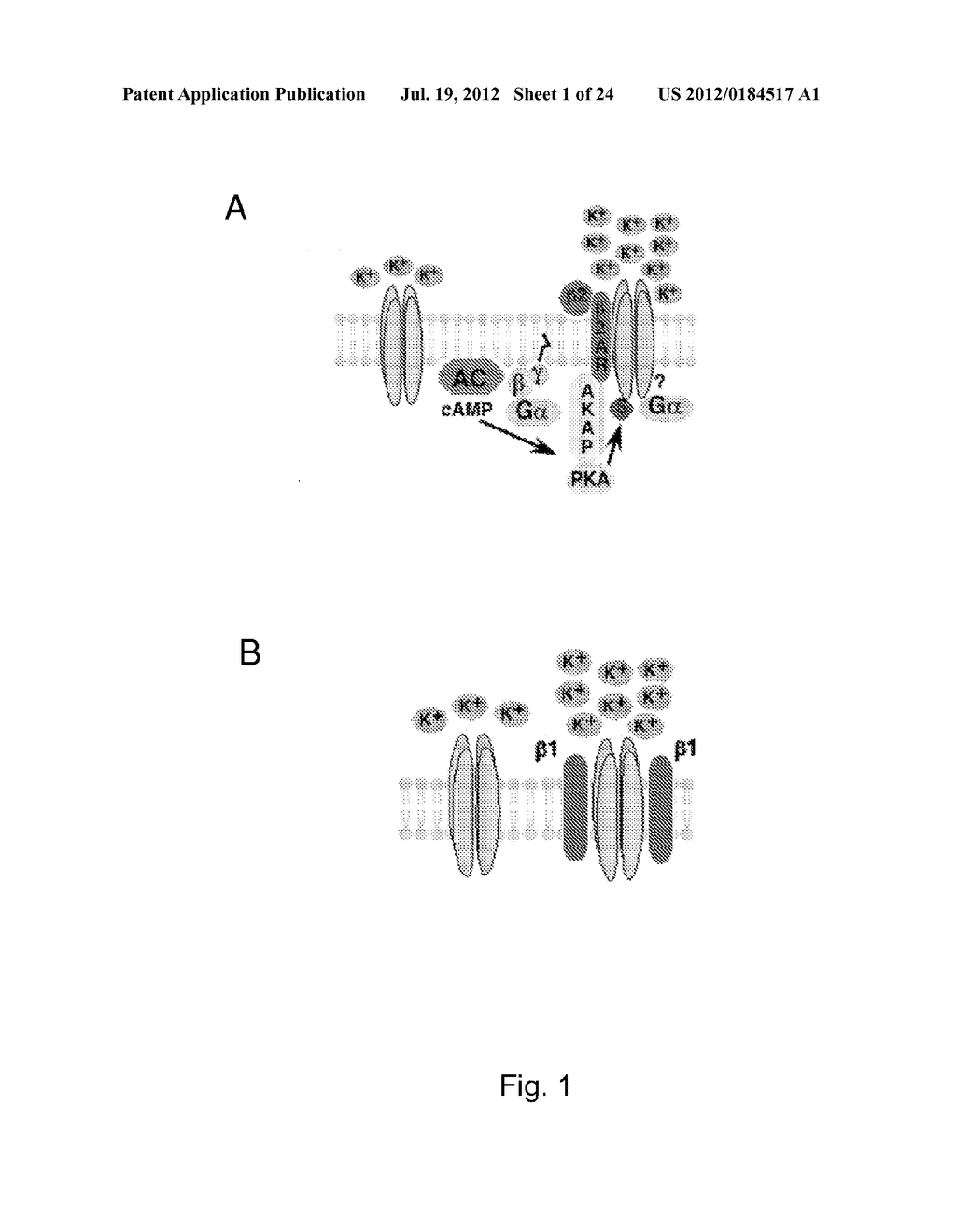 TREATMENT OF DISEASES WITH ALTERED SMOOTH MUSCLE CONTRACTILITY - diagram, schematic, and image 02