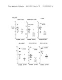 Compositions and Methods for Preventing or Treating Influenza Virus     Infection diagram and image