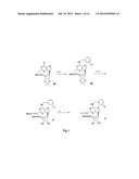 A3 ADENOSINE RECEPTOR AGONISTS AND ANTAGONISTS diagram and image