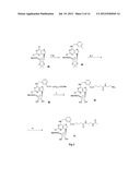 A3 ADENOSINE RECEPTOR AGONISTS AND ANTAGONISTS diagram and image