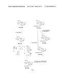 A3 ADENOSINE RECEPTOR AGONISTS AND ANTAGONISTS diagram and image