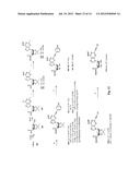 A3 ADENOSINE RECEPTOR AGONISTS AND ANTAGONISTS diagram and image