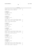 NOVEL HUMAN MICRORNAS ASSOCIATED WITH CANCER diagram and image