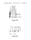 Treatment of Alzheimer s Disease diagram and image