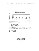 Treatment of Alzheimer s Disease diagram and image