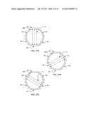 TREATING BACTERIA WITH ELECTRIC FIELDS diagram and image