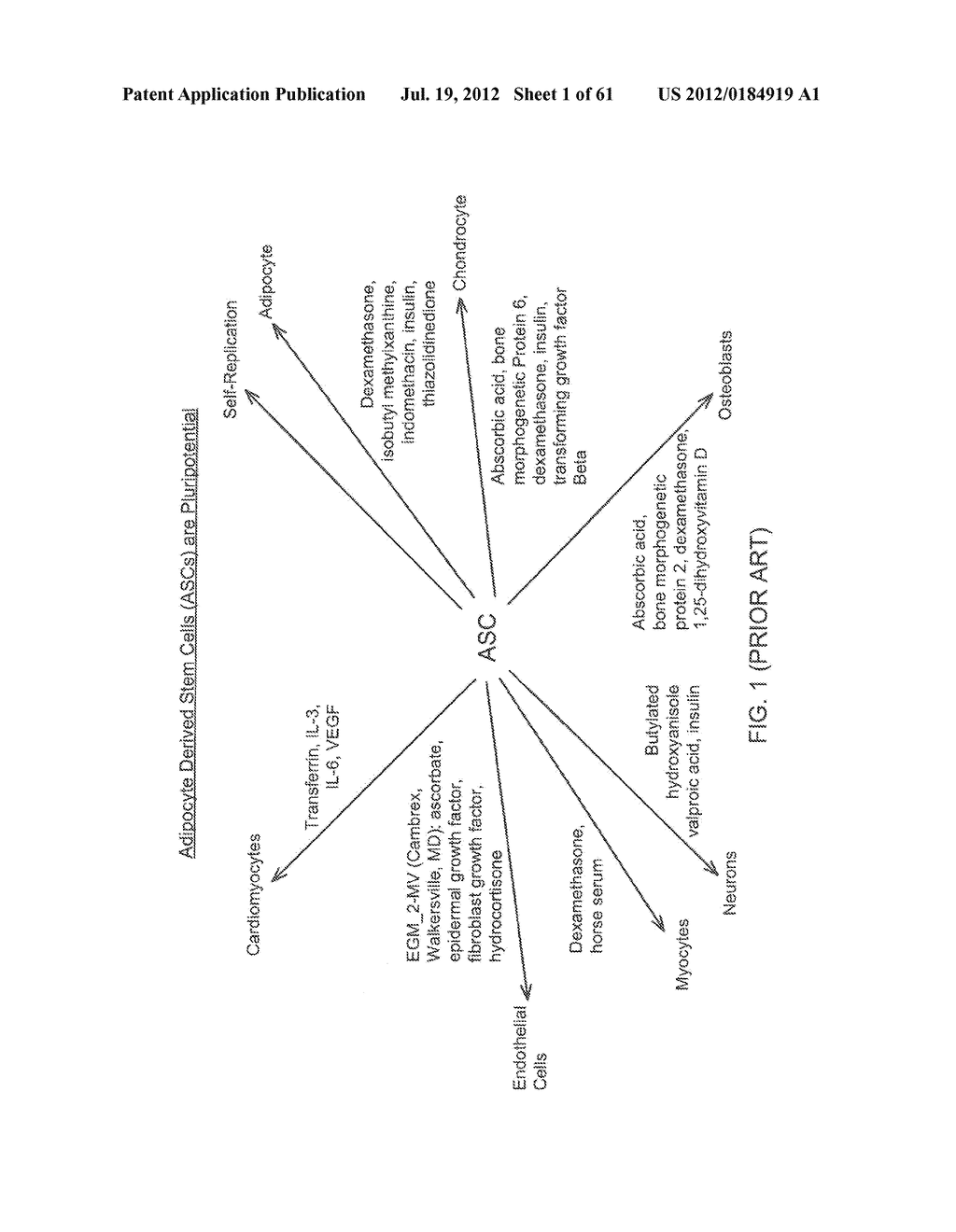 FAT TISSUE RE-INJECTION SYSTEM EMPLOYING A PHOTOMETRICALLY-CONTROLLED     PHOTO-ACTIVATION CHAMBER INSTALLED ABOUT A TISSUE COLLECTION AND     PROCESSING DEVICE MOUNTED ON A HAND-HELD TISSUE INJECTOR GUN - diagram, schematic, and image 02