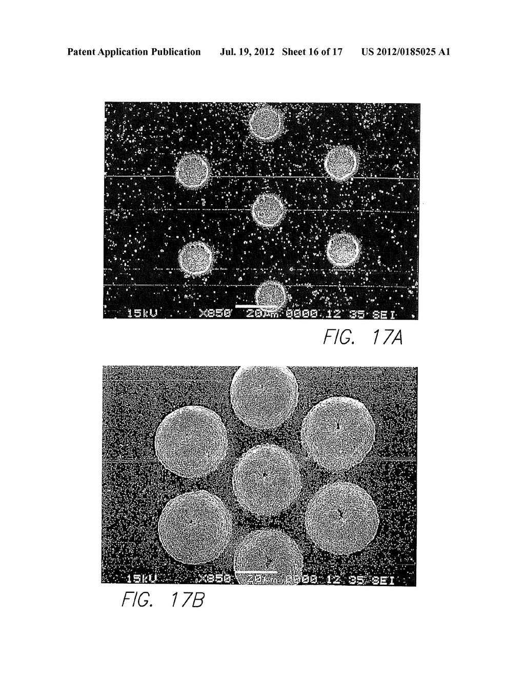 Electronics Package Suitable for Implantation - diagram, schematic, and image 17