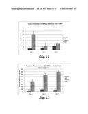 REINFORCED CARBON FIBER/CARBON FOAM INTERVERTEBRAL SPINE FUSION DEVICE diagram and image